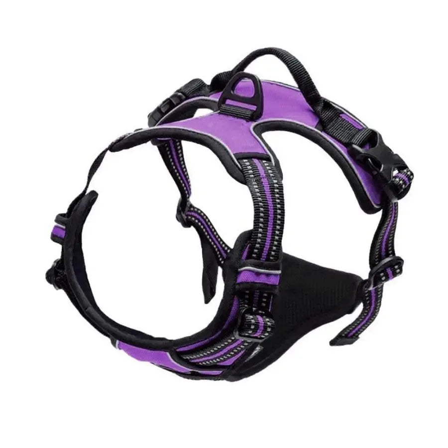 Premium Comfort Dog Harness & Collar Set™