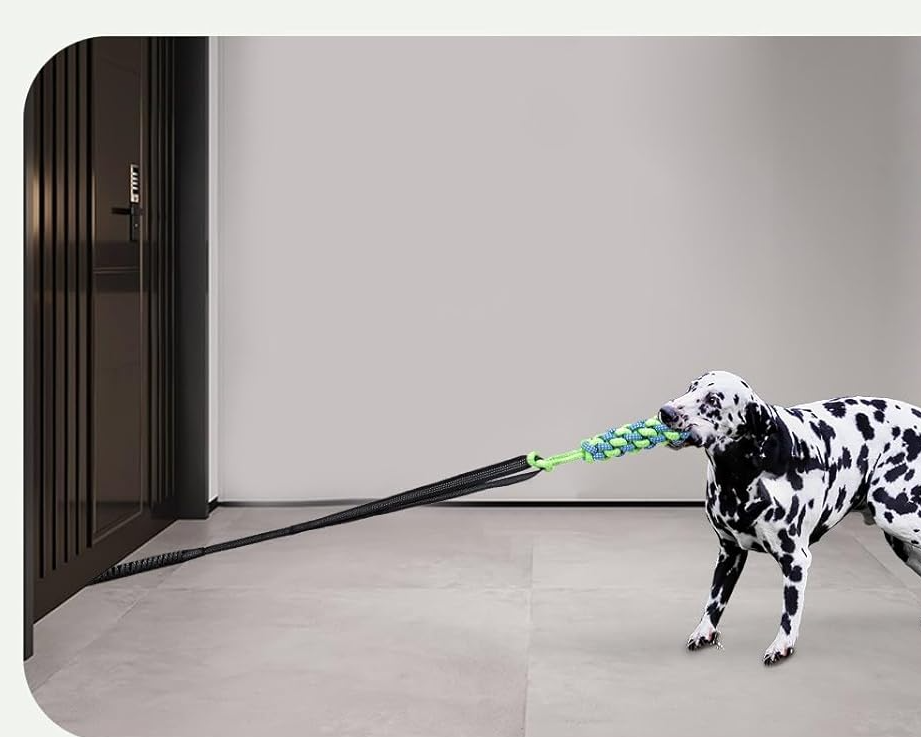 BARK BOUNCE TUG TOY