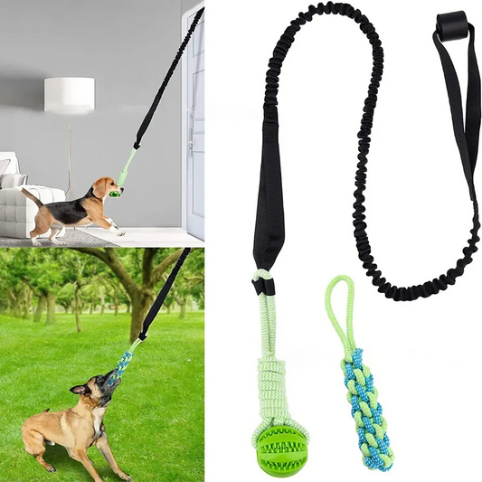 BARK BOUNCE TUG TOY