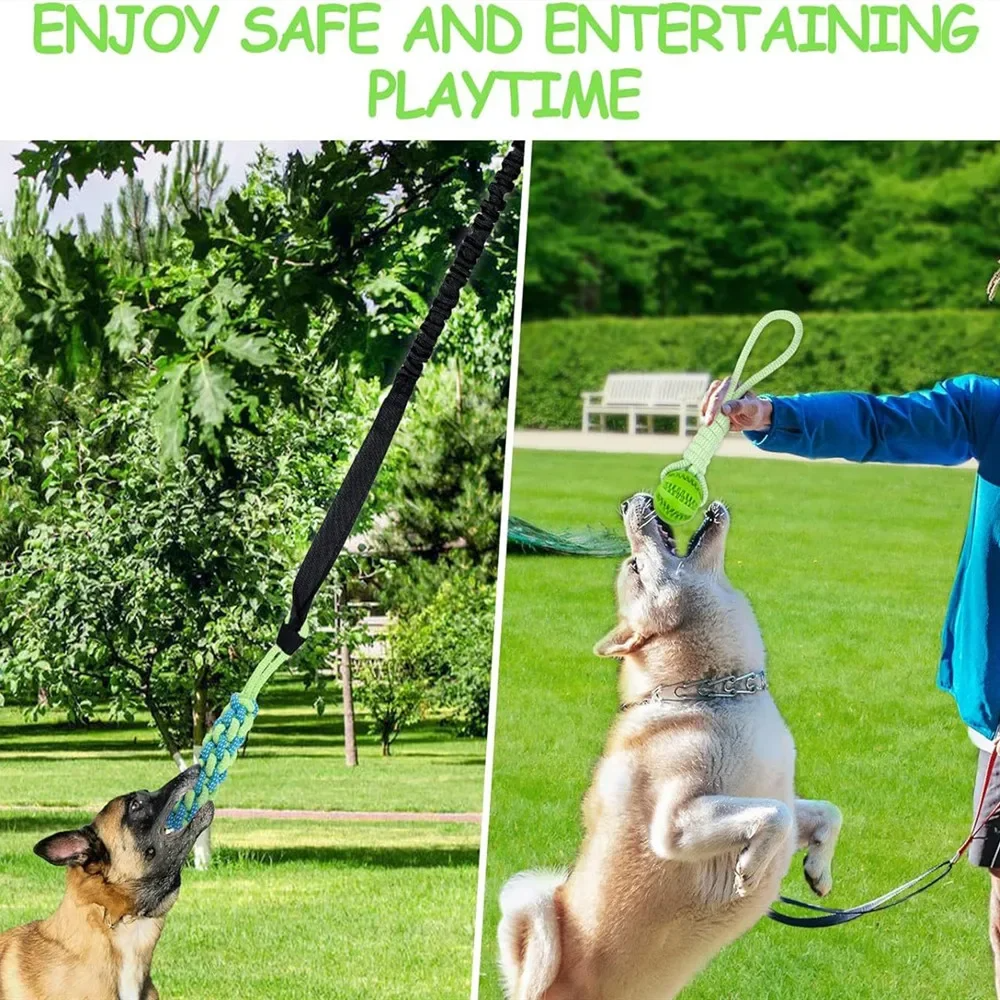BARK BOUNCE TUG TOY