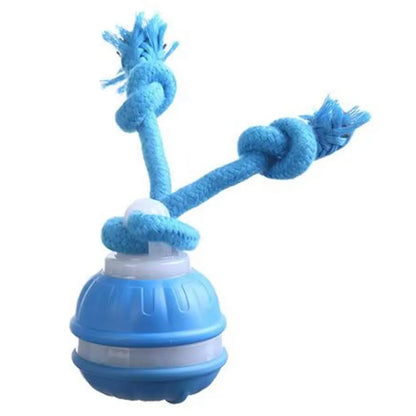 Interactive Motion Play Ball™