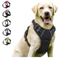 Premium Comfort Dog Harness & Collar Set™