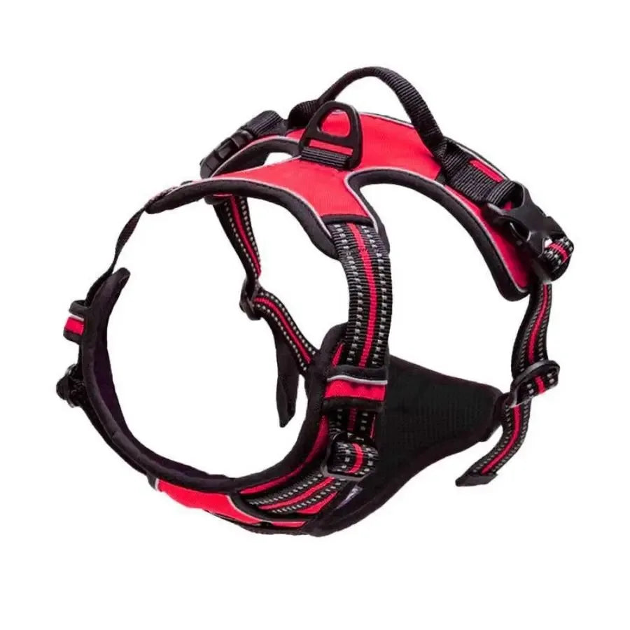 Premium Comfort Dog Harness & Collar Set™