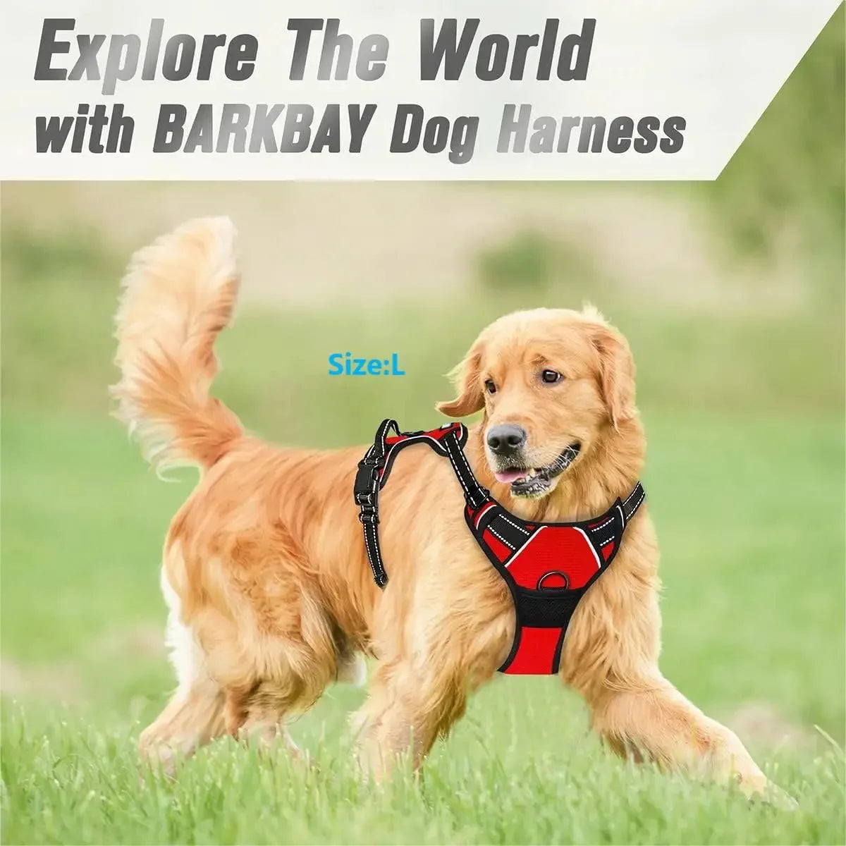 Premium Comfort Dog Harness & Collar Set™