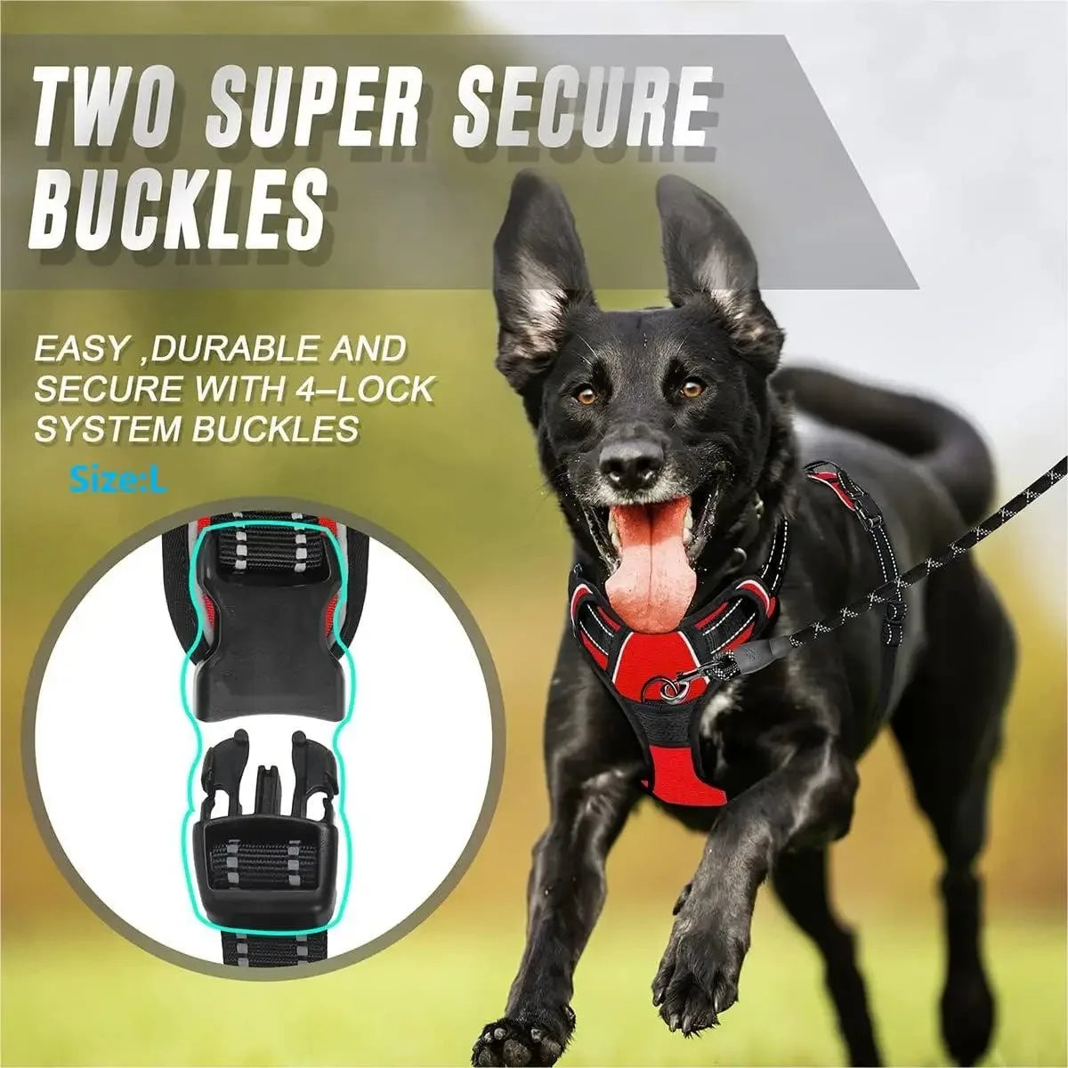 Premium Comfort Dog Harness & Collar Set™