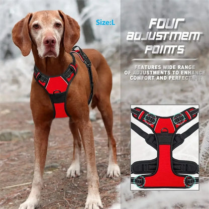 Premium Comfort Dog Harness & Collar Set™