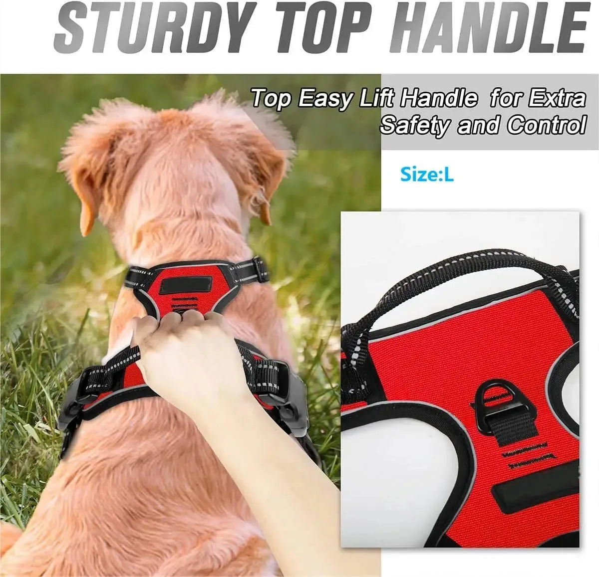 Premium Comfort Dog Harness & Collar Set™