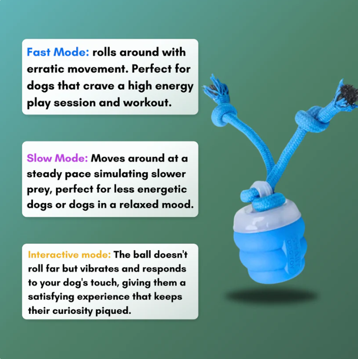 Interactive Motion Play Ball™